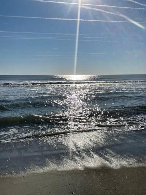 Living The Dream On The Beach! Carolina Beach Dış mekan fotoğraf